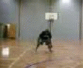 Basketball pro