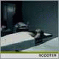 Scooter -The Night